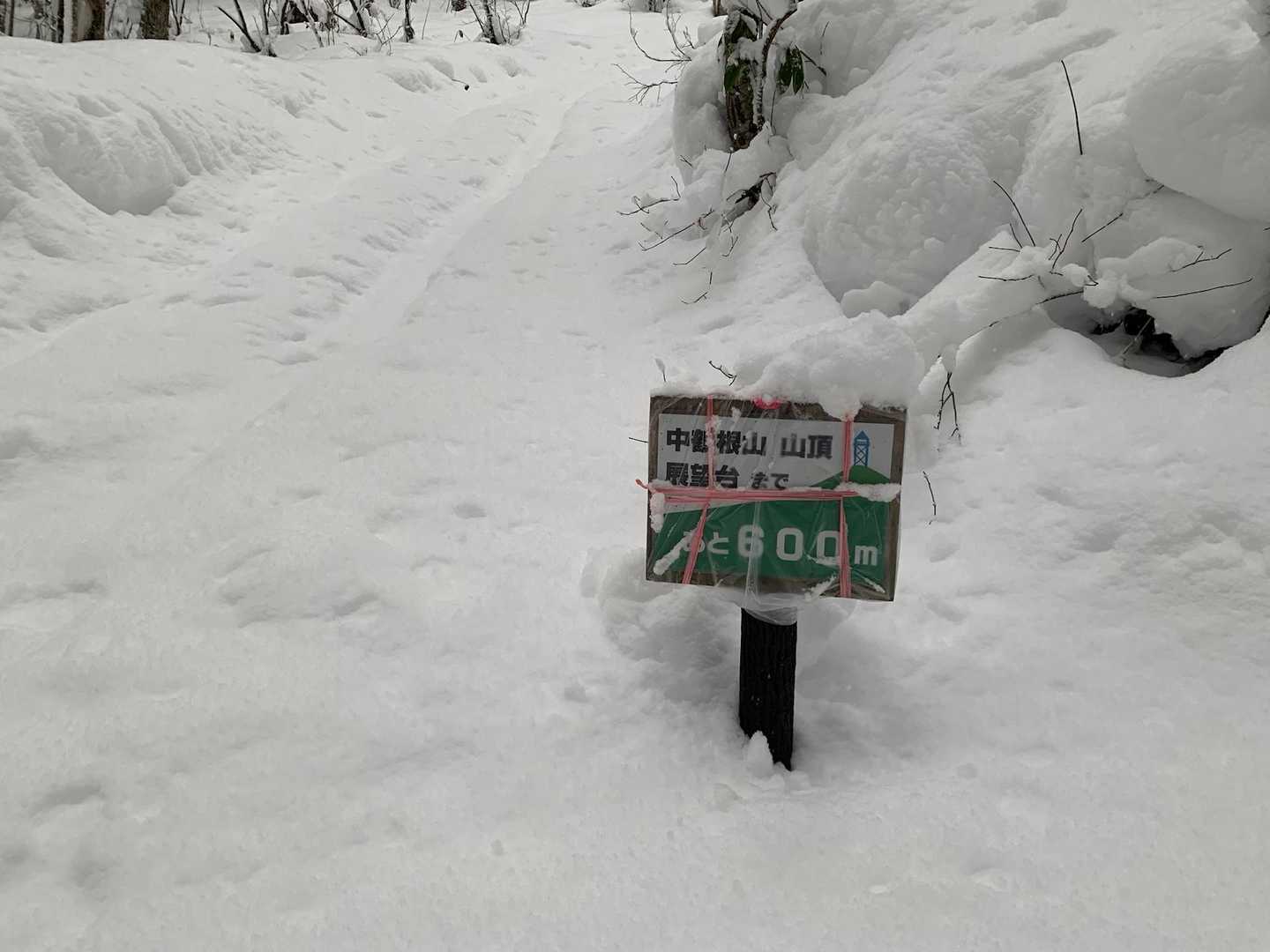ここからようやく登り、登り🥵