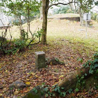 古城山 山頂　三等三角点 175m。