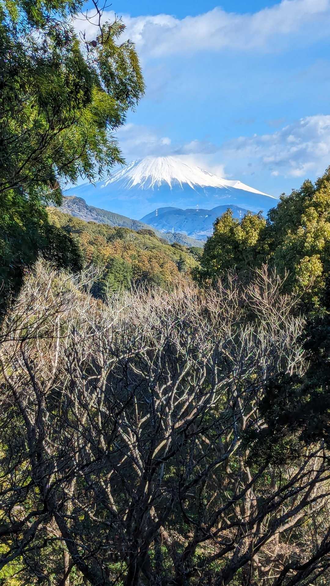 ふじさーん🗻🗻🗻🗻
ちょっと頭がかくれんぼしてるけどね。