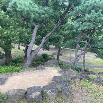 三笠山山頂