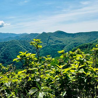 左 御所山から右 白森にかけての稜線
真ん中奥は銭山かな⁉︎
