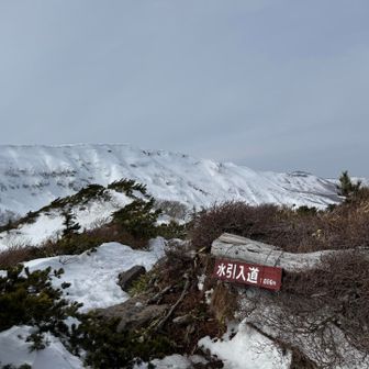 水引入道　山頂？です