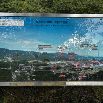 合戦場が一望