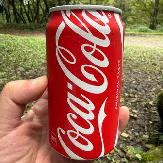 長い下りを終えてのコーラ
三股着いたら売ってました。買うしかない（笑）
お疲れさまでしたー