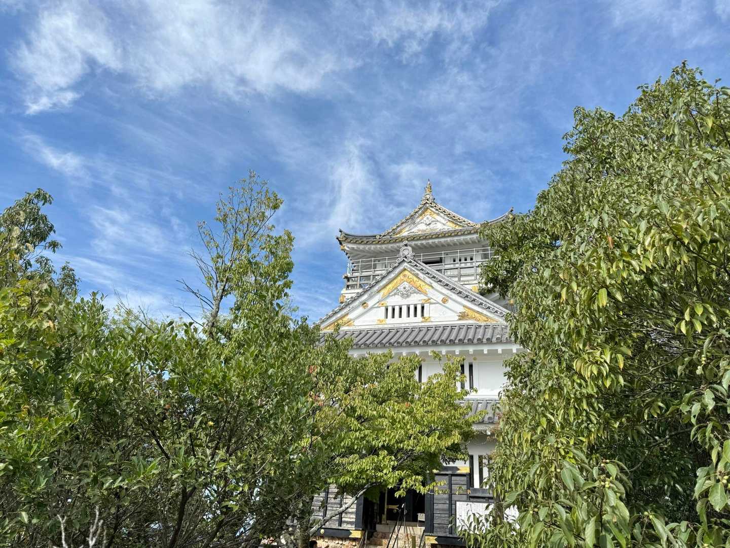 このお城ホント綺麗で…見惚れる♡