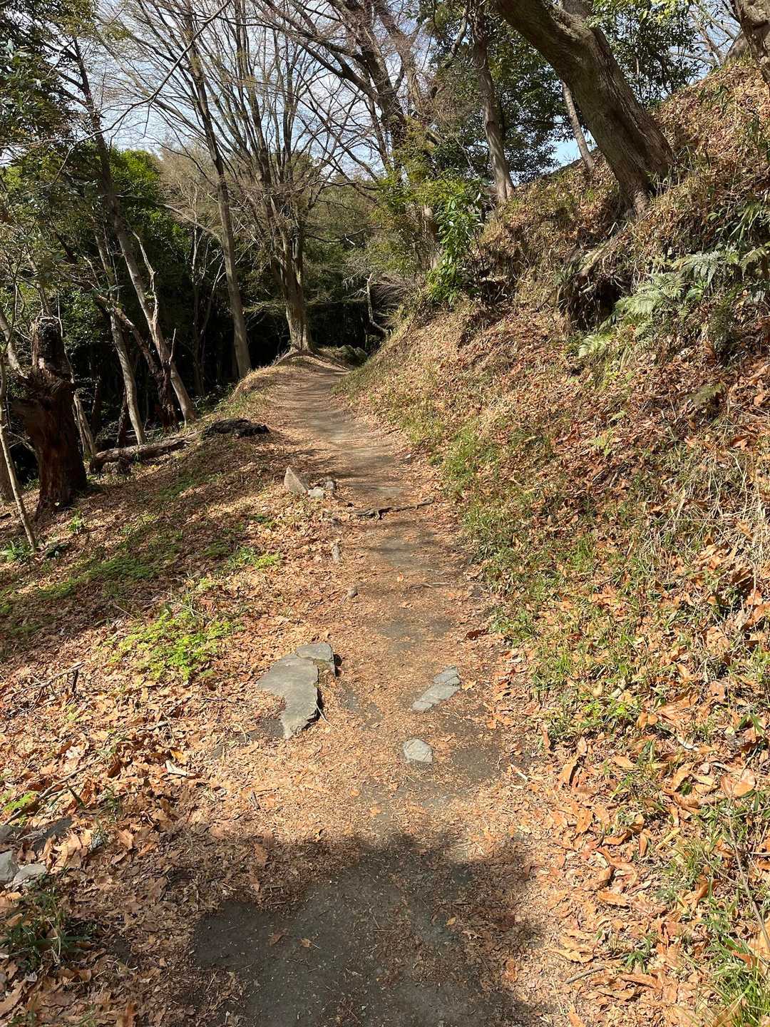 たたら山過ぎたとこ。これ掃いてくれてる❓めちゃ綺麗😍