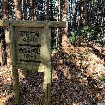 これから滝を見に！