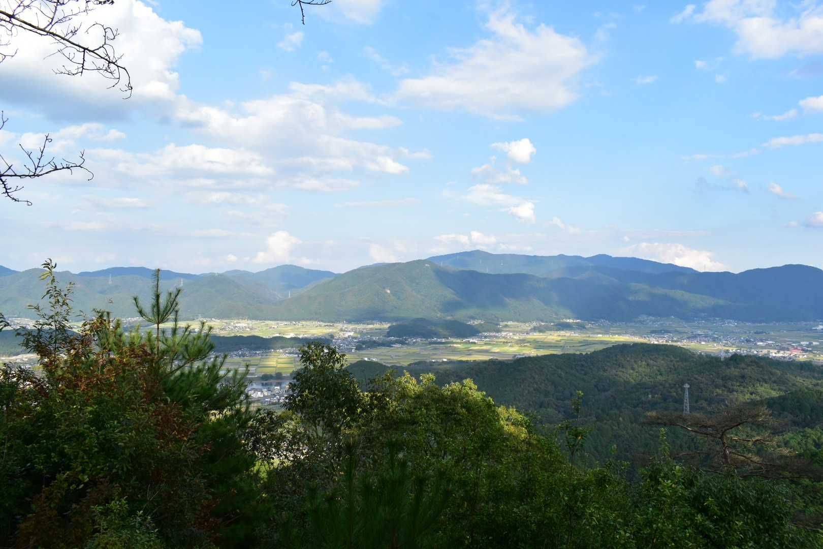 爽やかな〰️風🍃