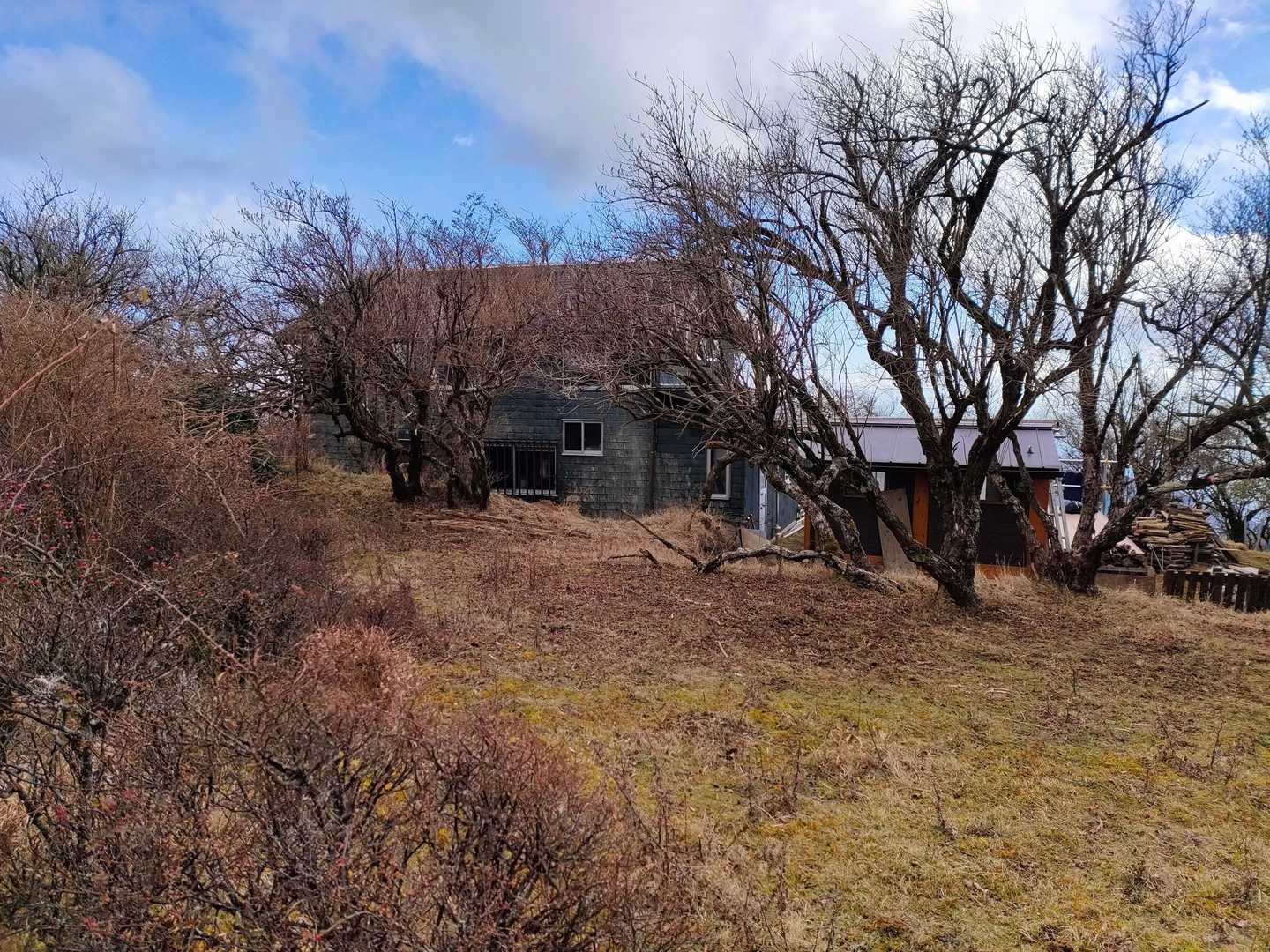 ヤビツ峠に向かう途中の木ノ又小屋