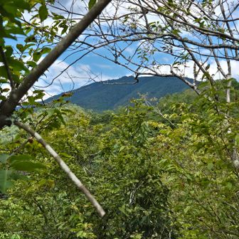 あれに見えるは愛宕山だよね？
遠くに見えるなー