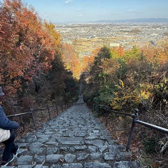 展望台からの石段がやばい😅下りで良かった🤭