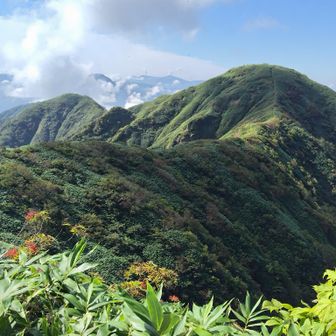 ガスが上がりつつある経ヶ岳南峰へ戻ろう