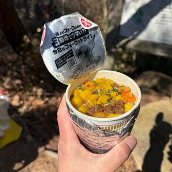 賞味期限を少し過ぎたカップヌードルがうまい