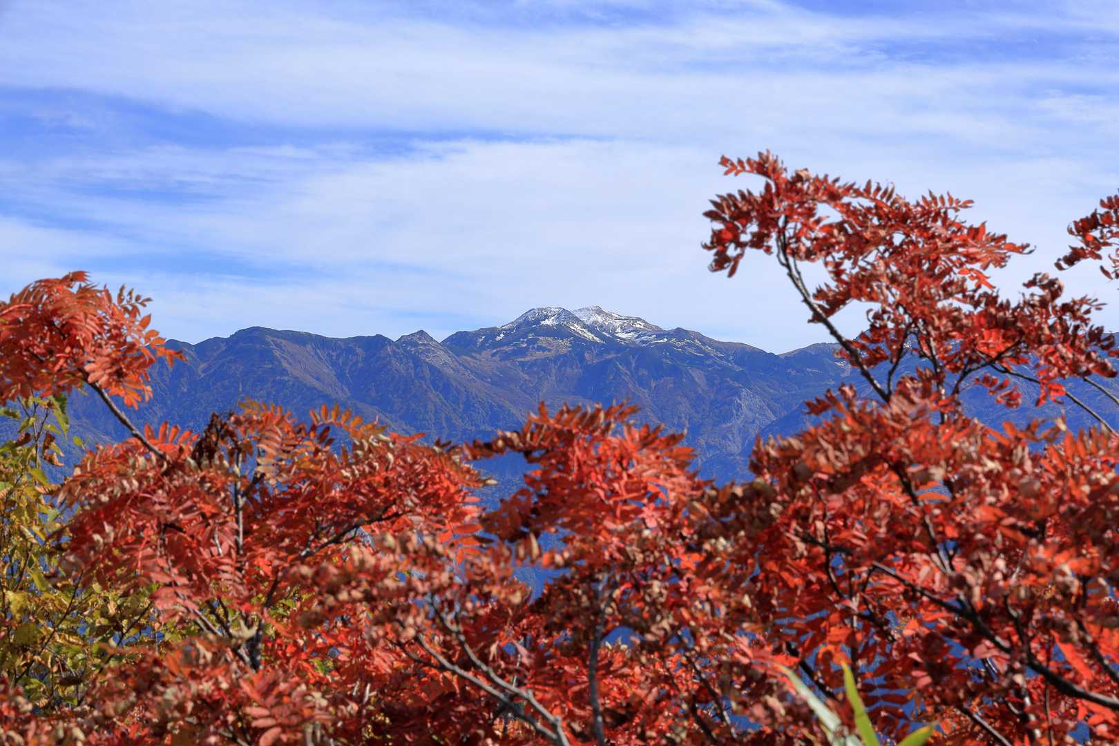 🍁白馬岳🍁