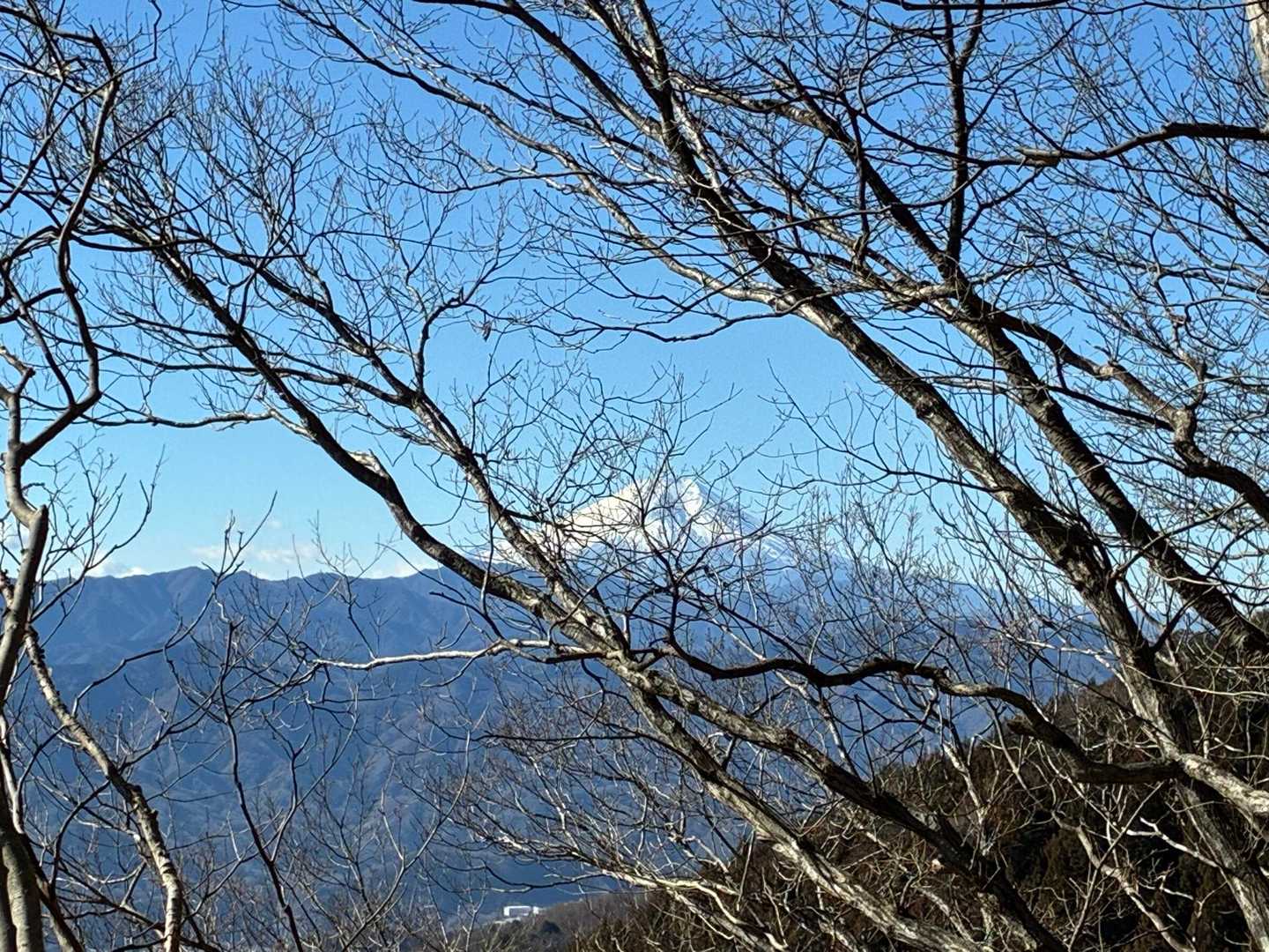 富士山を見ながら歩けるルート