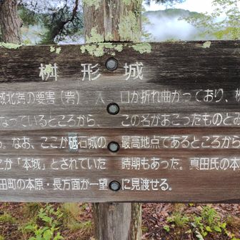 桝形城山🪧