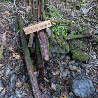 ほとけの清水
3㍑汲んで登りました
重い💦