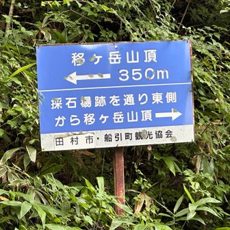 山頂へ。左⬅️
