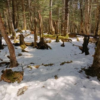 和名倉山山頂の様子