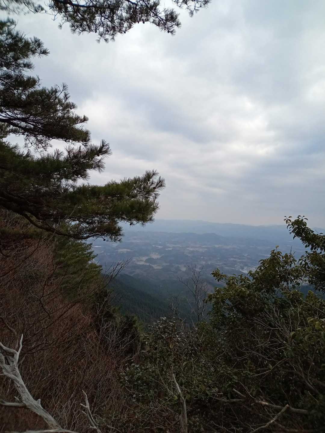 たまに見える絶景