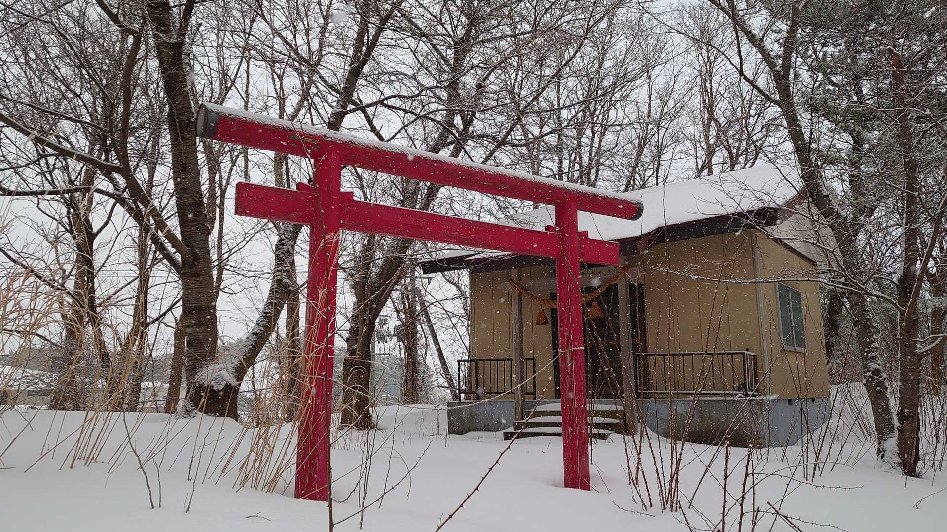 勝平山、登頂！