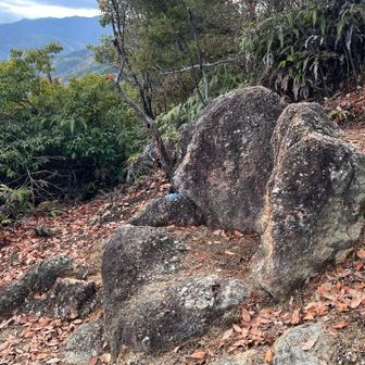 滝行場から三本松の鳶塚取付に合流できます😄
そこからはいつもの鳶塚へ⭐️
王様の椅子に来たので、コーヒーしました☕️