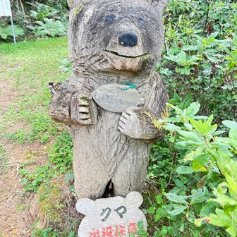 先程歓迎してくれたのに出没注意と言われました🐻会わない方がよさそうです🥺