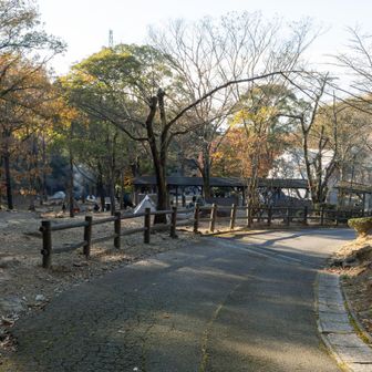好天のキャンプ場は大賑わい
脇を通ると肉が焼けるいい匂い