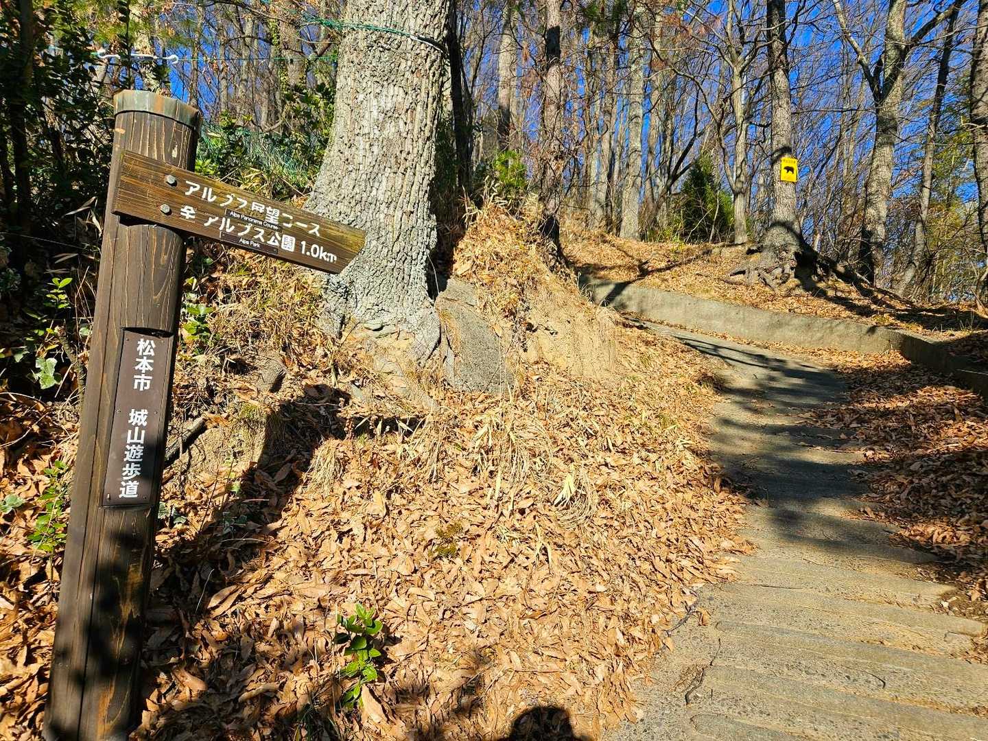 戻りまーす🚶