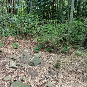 山頂です。