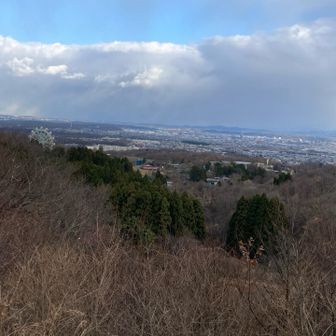 手前に大森山動物園　左側に観覧車🎡奥に秋田市中心部