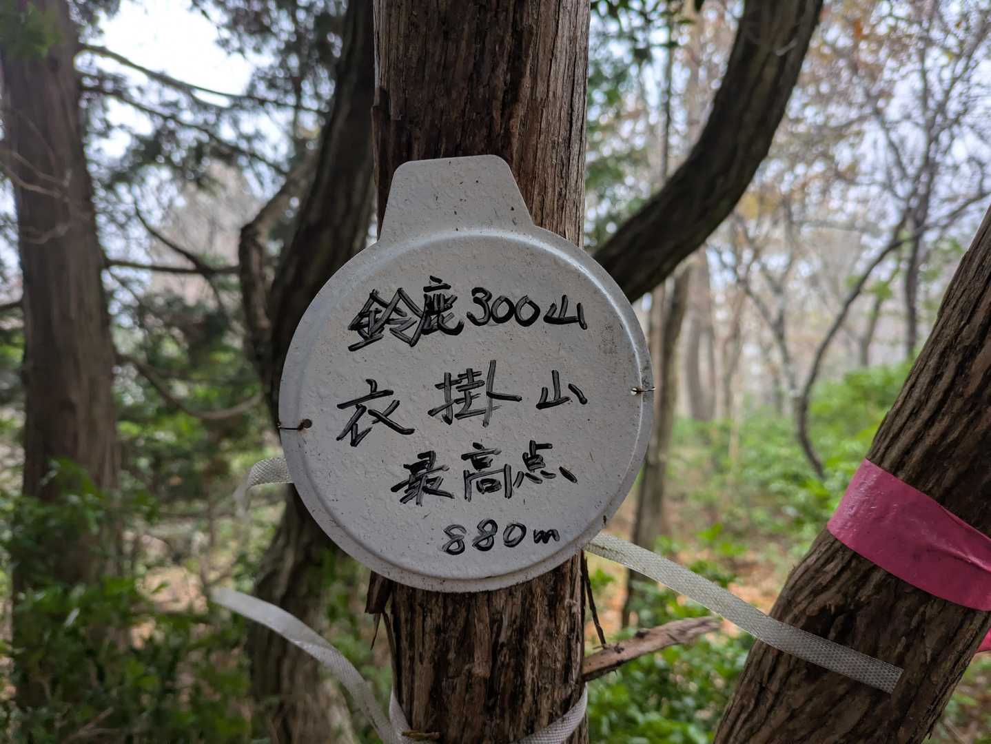 日本コバ-衣掛山 周回コースの写真