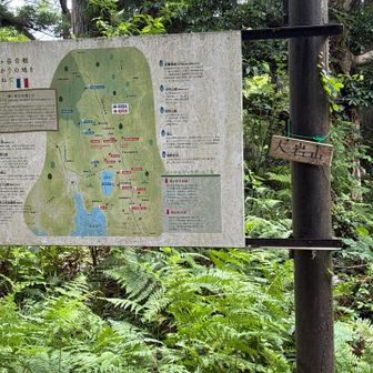 大岩山。