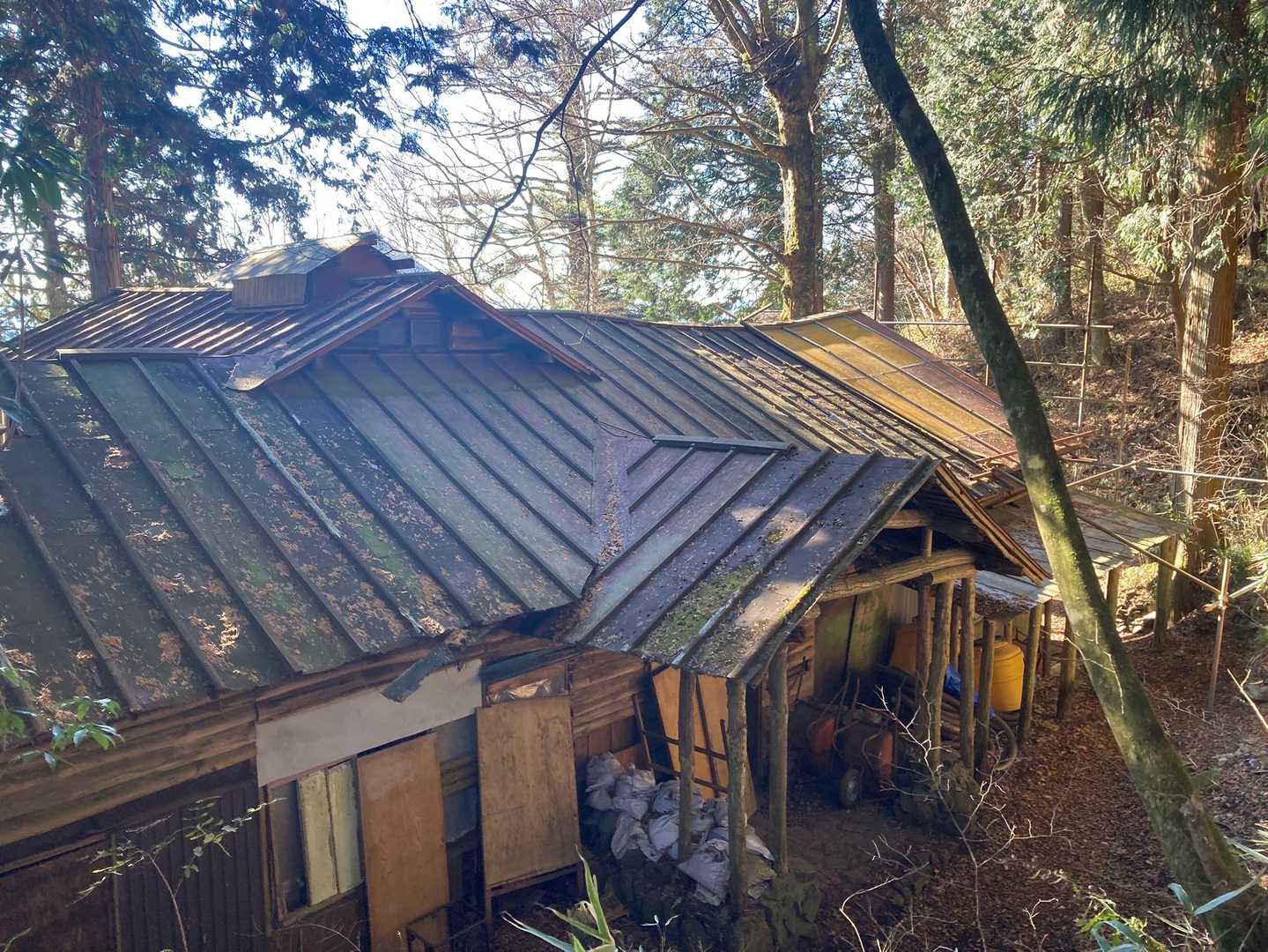 苦手な登りですら、久しぶりに味わえて
嬉しい😊