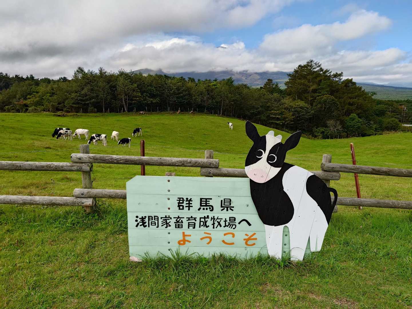 育成牧場なんですね🤔