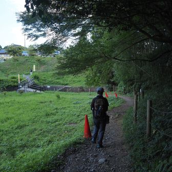 🚶✨駐車場が見えました。