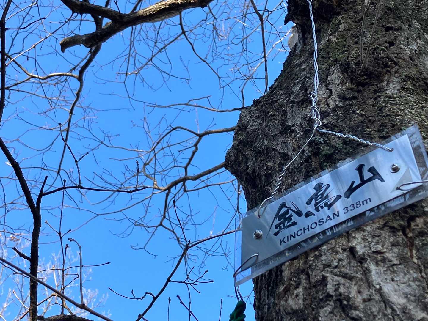 楽ちん金鳥山⛰️