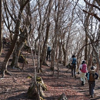 そんなこんなで見通しの良い季節に