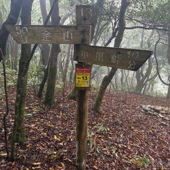 この分岐点を奥に進むと、まだ登って無い西山⛰️でした❗️