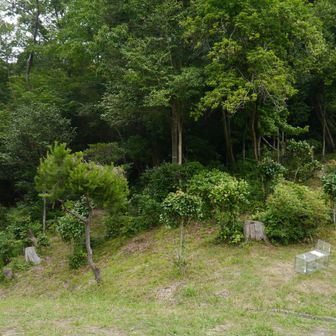 ここから登山口