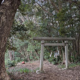 山頂には野見金神社があります