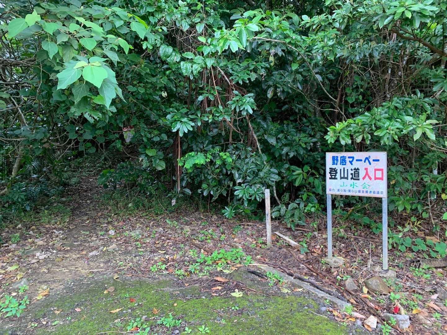 そして、野底岳(マーペー)の登山スタートです！