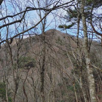 木の間から三方分山が見えます！
