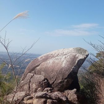 蟹の爪そっくり🤩