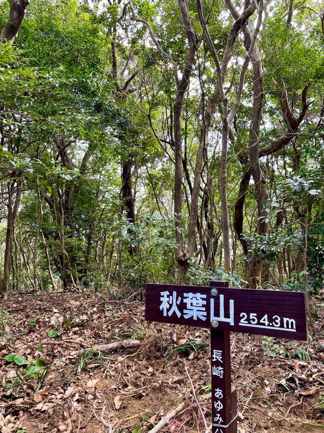 蚊焼連山の代表ですね😃
標識が良くなりましたね、立派で好きです😊