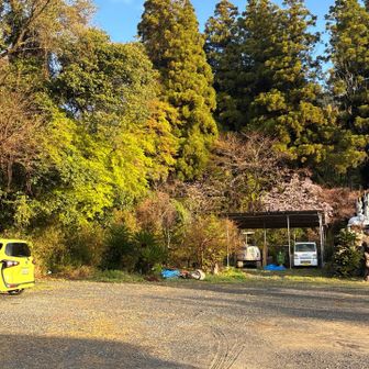 真似してみたが… ここで？！