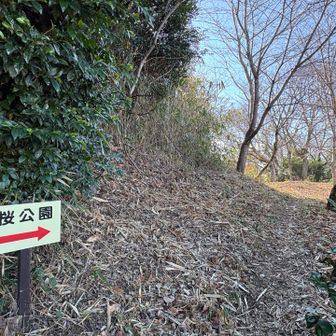 公園と言うより広場