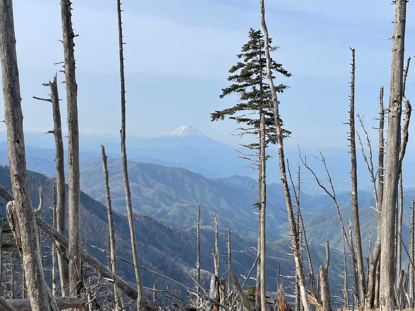 西沢渓谷入口バス停-木賊山-甲武信ヶ岳-破風山-東破風山- 周回コースの写真