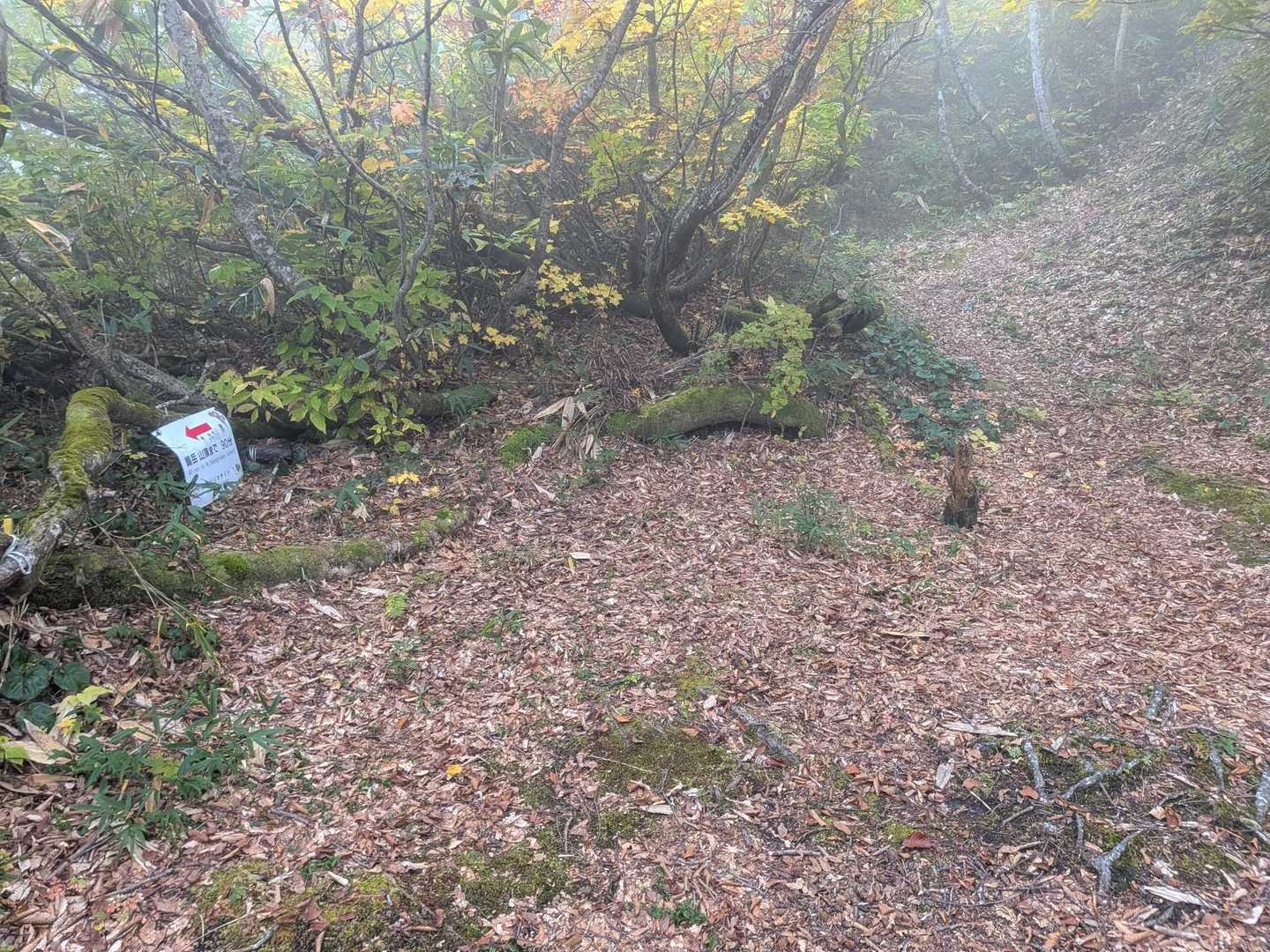 雨飾山分岐
先日、フォロワーの山崎さんは雨飾山まで行ってたなぁ。
時間があっても気力体力保たなそう…