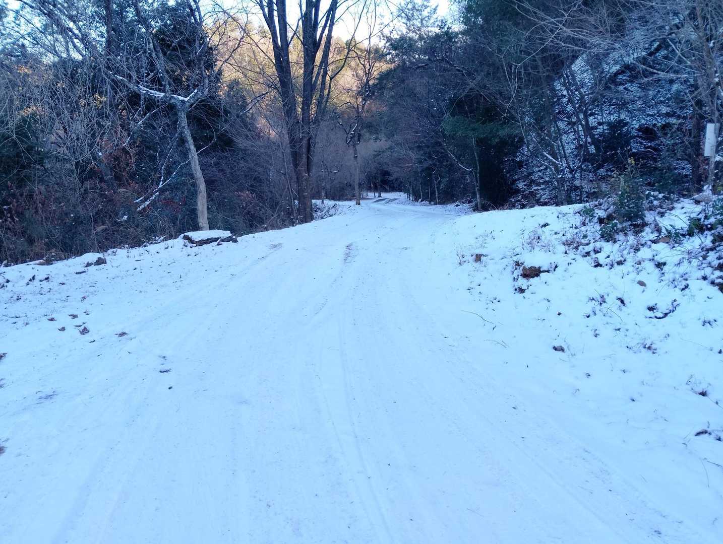 雪がけっこう残ってるのを踏みながら池を一周して戻る